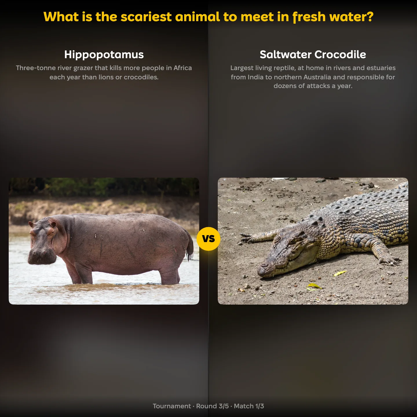 The scariest animal to meet in fresh water ranking, the hippopotamus against the saltwater crocodile