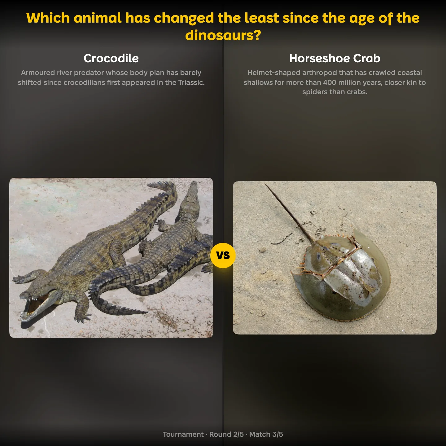 The animals that have changed the least since the dinosaurs ranking, the crocodile against the horseshoe crab