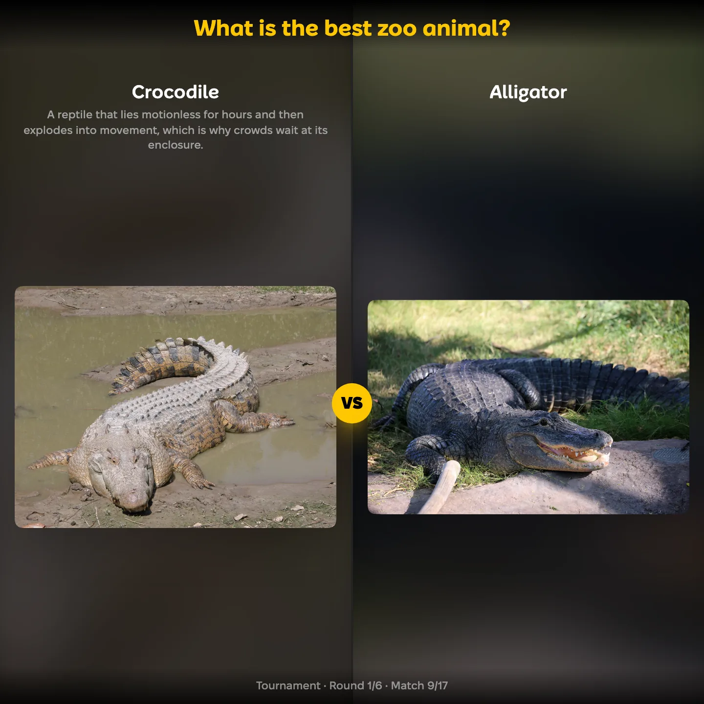 The best zoo animal ranking, the crocodile against the alligator