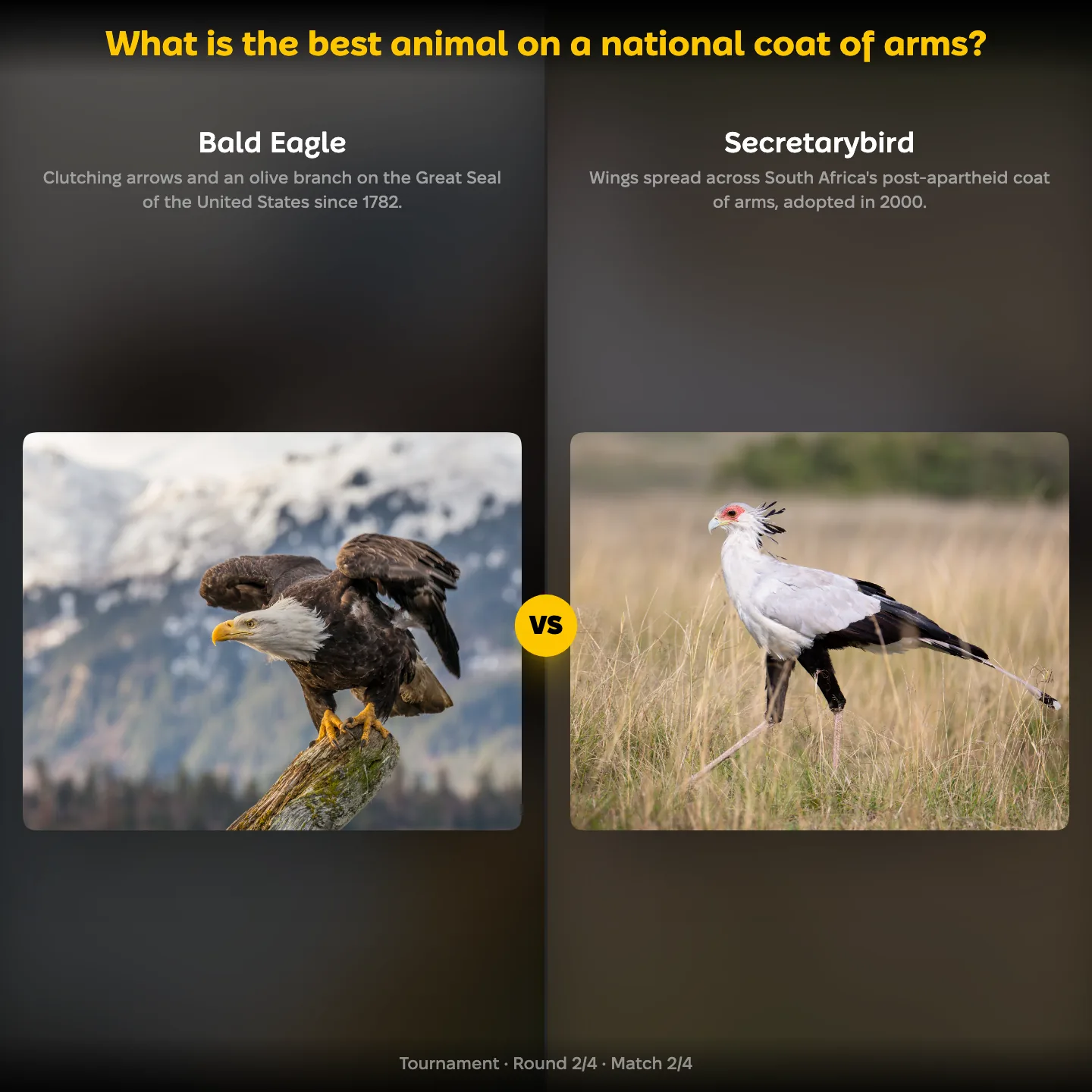 The ranking "What is the best animal on a national coat of arms?" showing the Bald Eagle against the Secretarybird