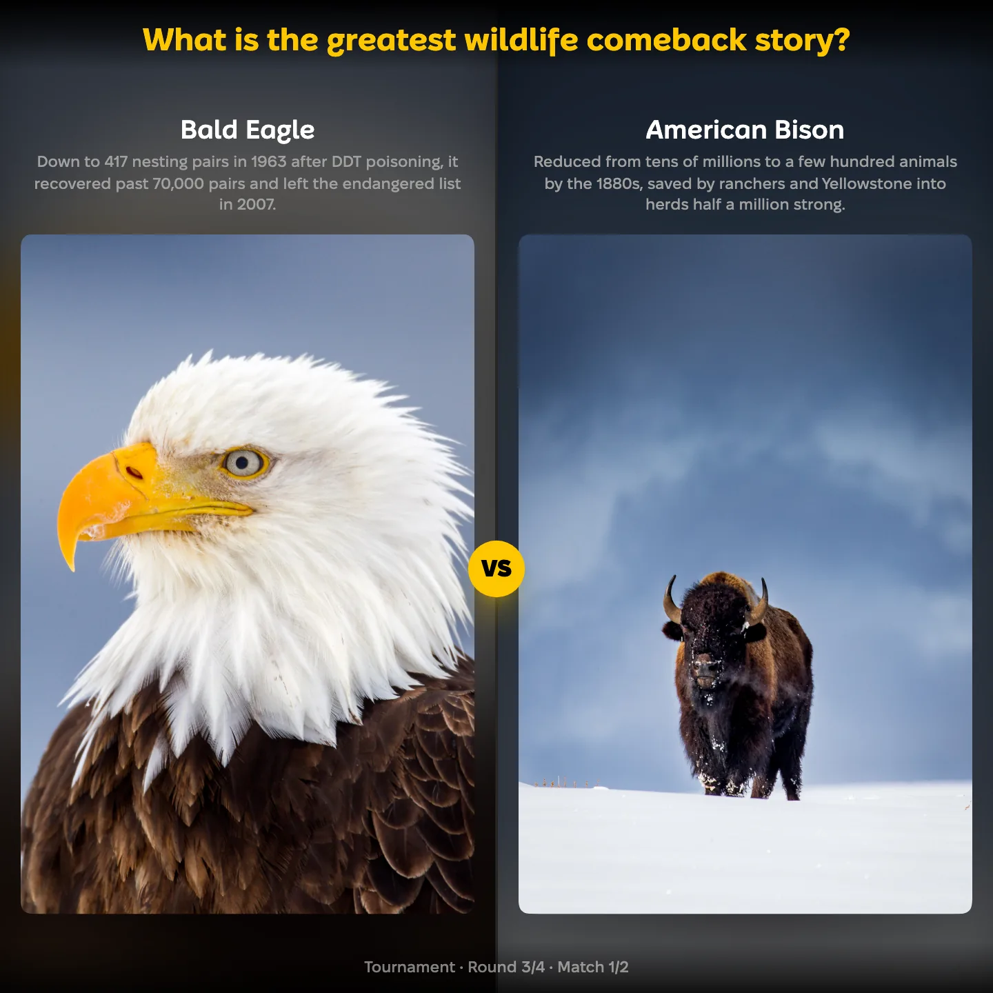 The ranking "What is the greatest wildlife comeback story?" showing the Bald Eagle against the American Bison