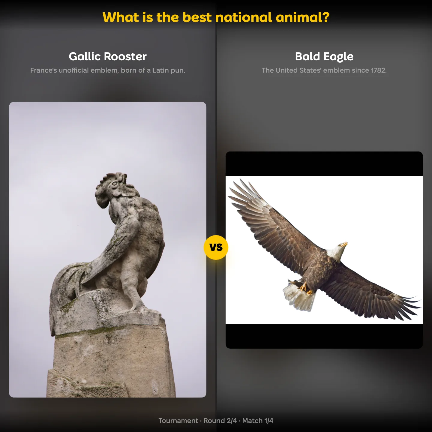 The ranking "What is the best national animal?" showing the Gallic Rooster against the Bald Eagle