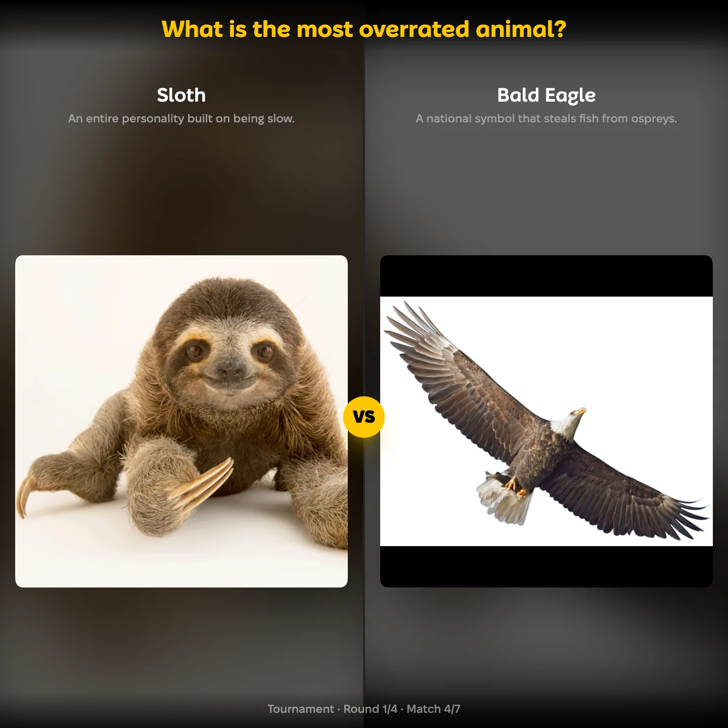 The ranking "What is the most overrated animal?" showing the Sloth against the Bald Eagle
