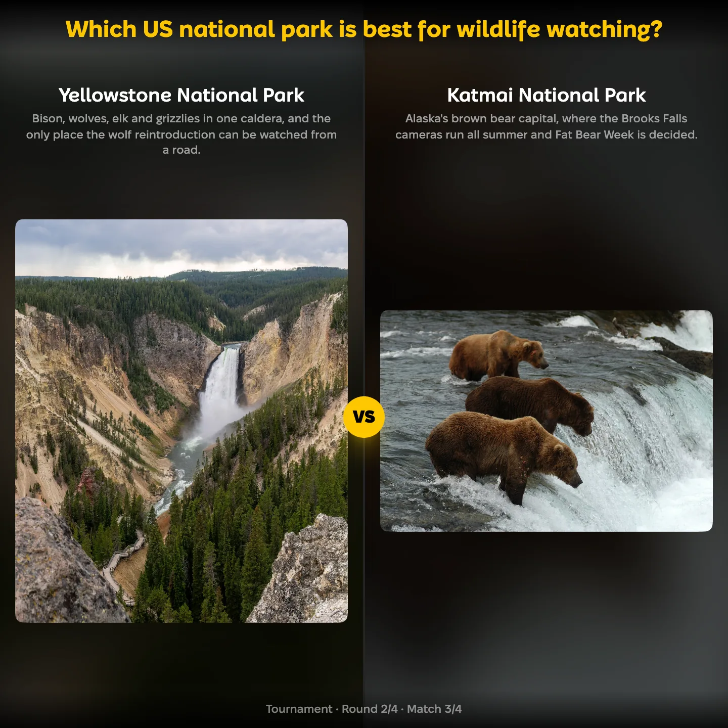 Which US national park is best for wildlife watching, Yellowstone against Katmai National Park