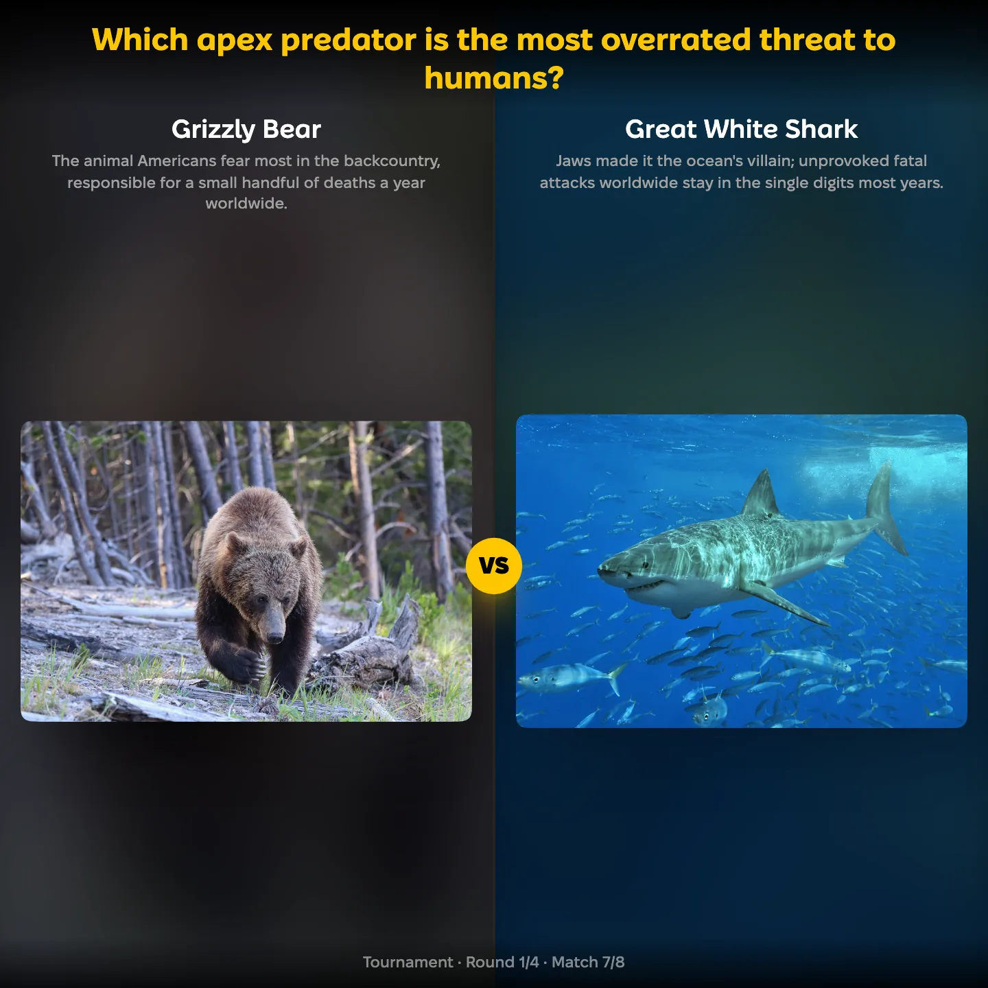 Which apex predator is the most overrated threat to humans ranking, the grizzly bear against the great white shark