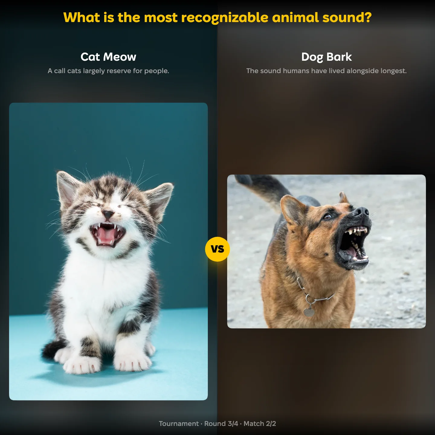 The most recognizable animal sound ranking, with Cat Meow against Dog Bark