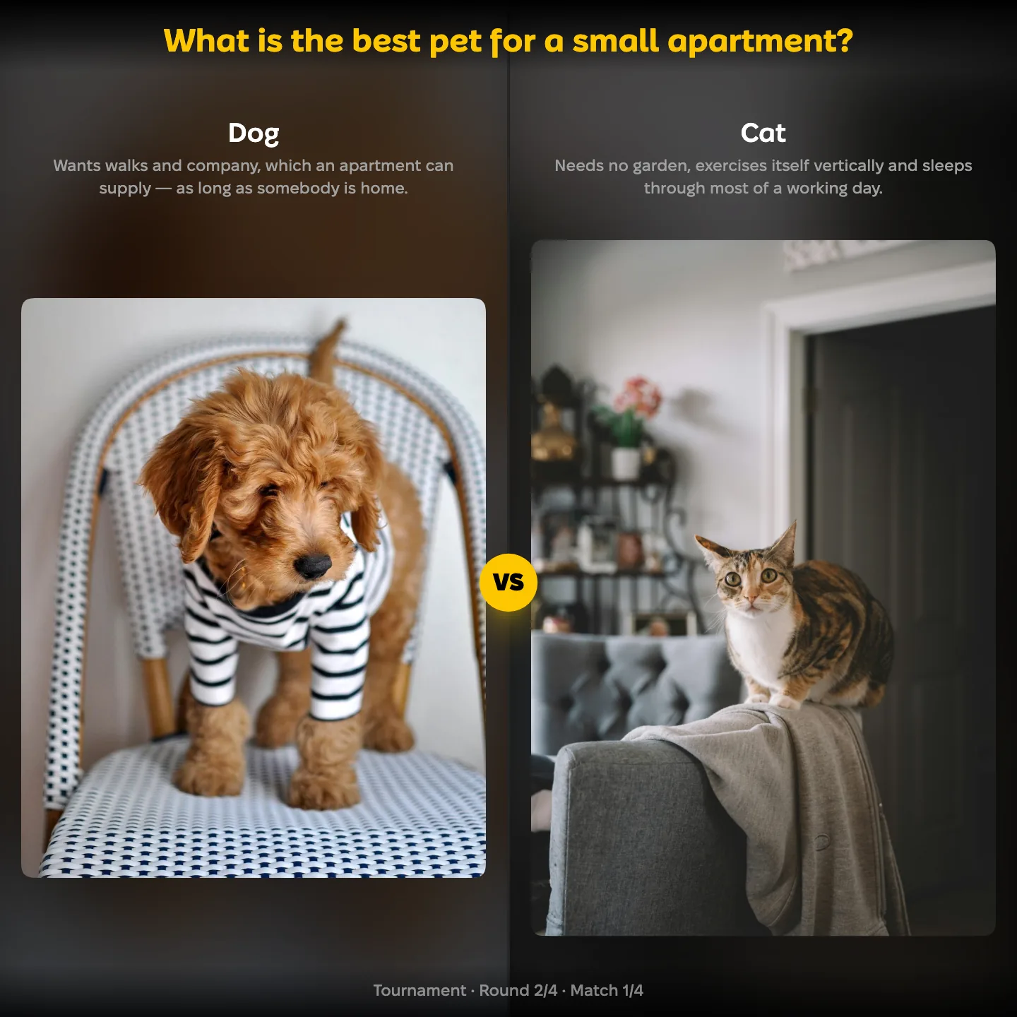 The best pet for a small apartment ranking, with Dog against Cat