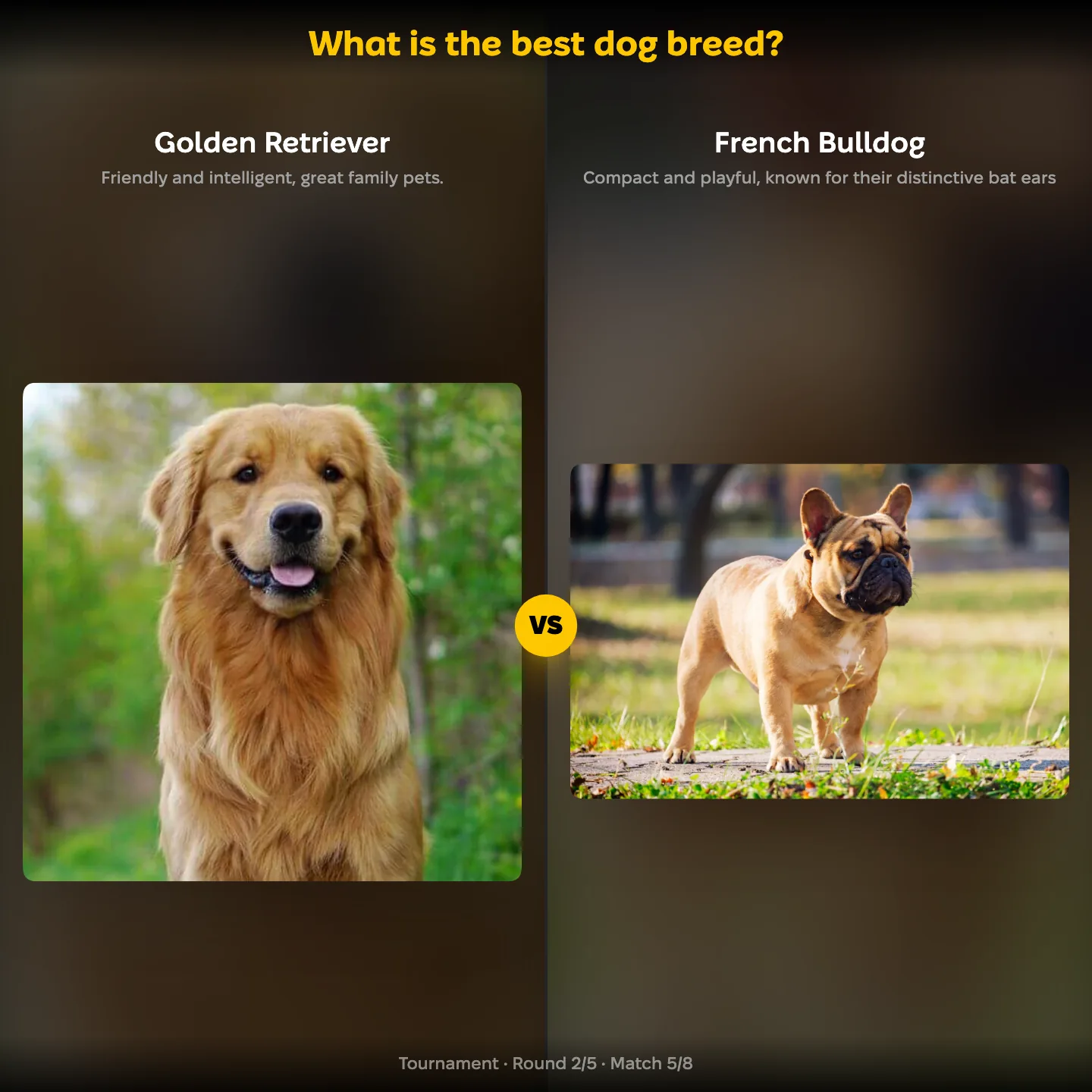 The best dog breed ranking, with Golden Retriever against French Bulldog