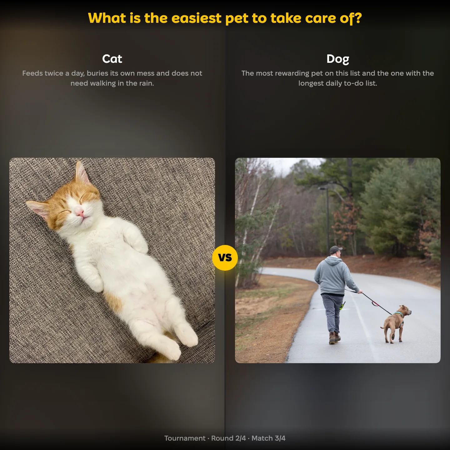 The easiest pet to take care of ranking, with Cat against Dog