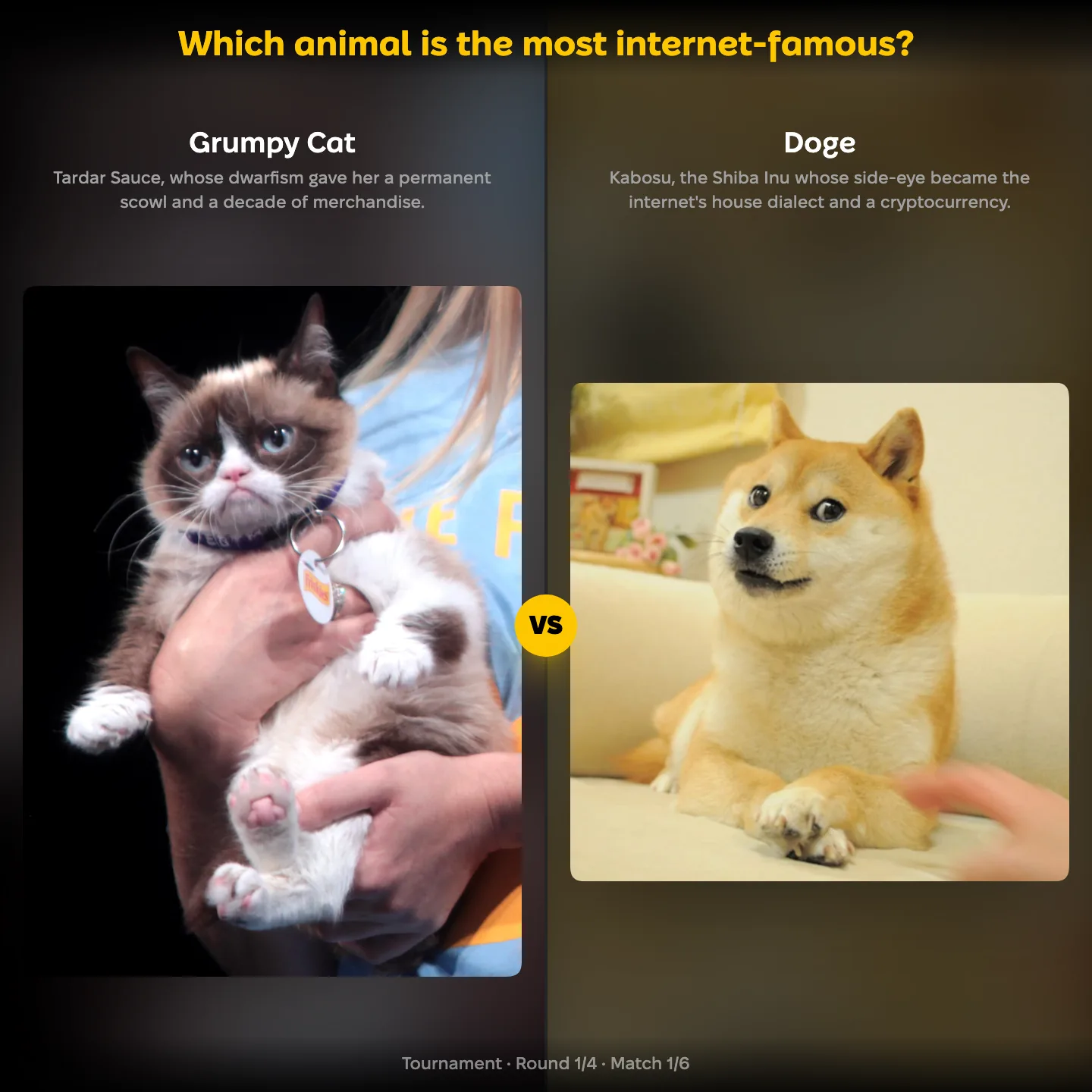 The most internet-famous animal ranking, with Grumpy Cat against Doge