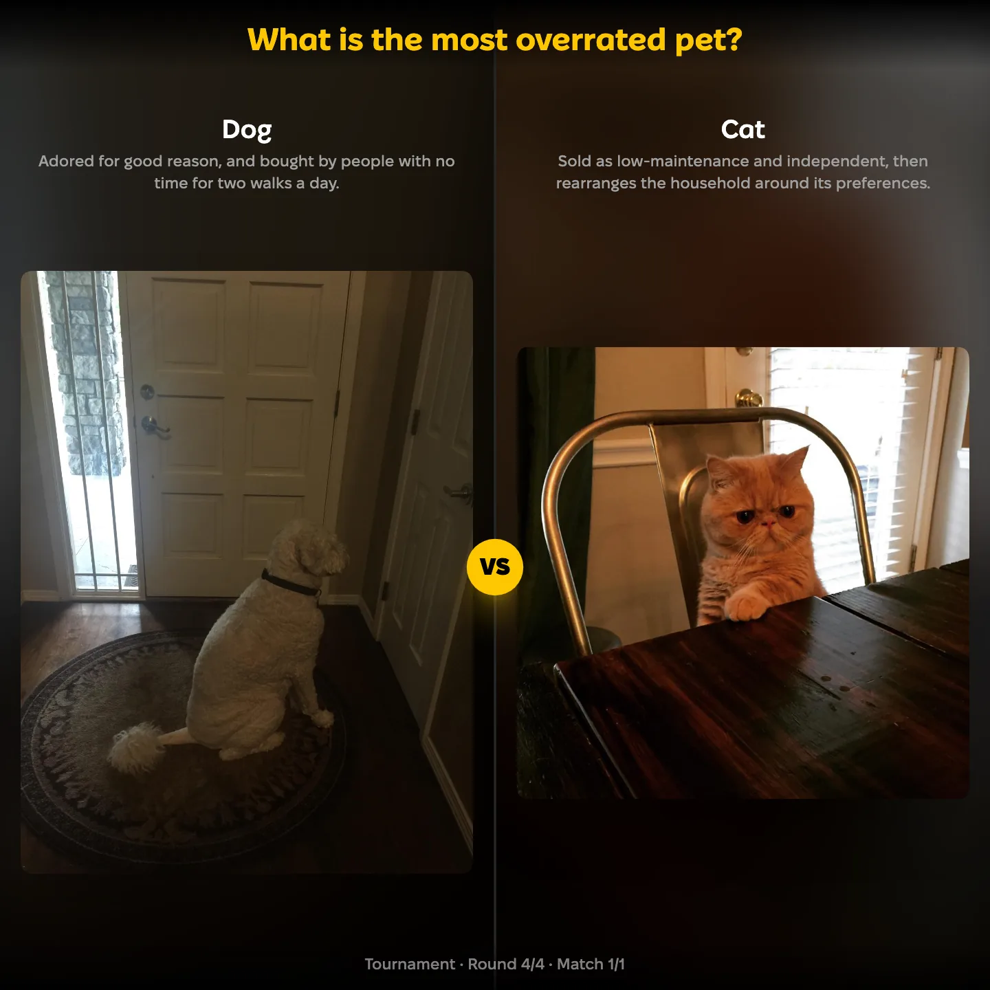 The most overrated pet ranking, with Dog against Cat
