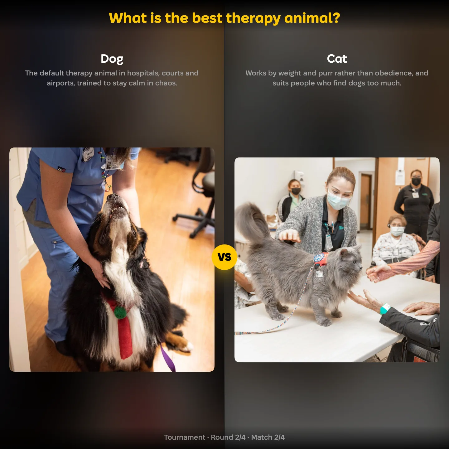 The best therapy animal ranking, with Dog against Cat among miniature horses and alpacas