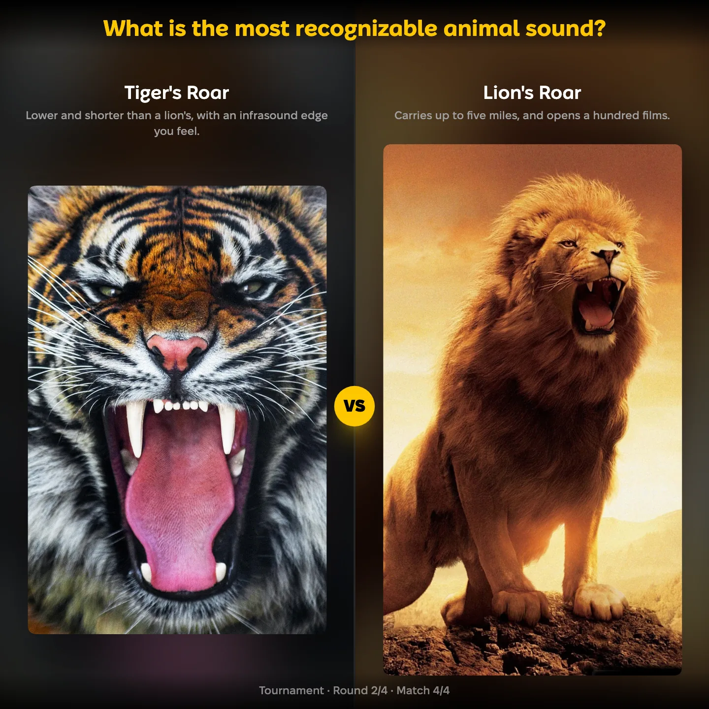 The most recognizable animal sound ranking, the tiger's roar against the lion's roar