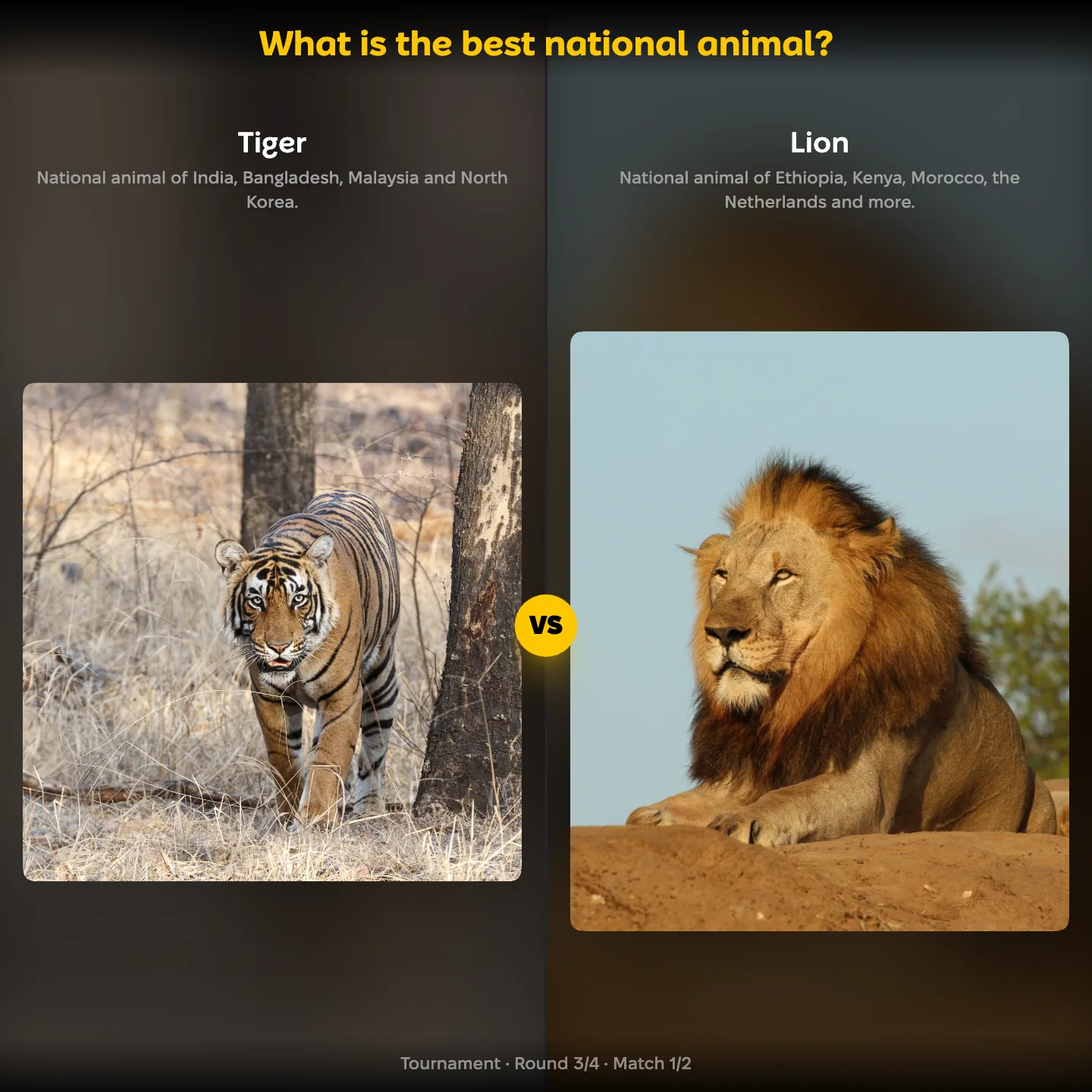 The best national animal ranking, tiger against lion, with the bald eagle and kangaroo