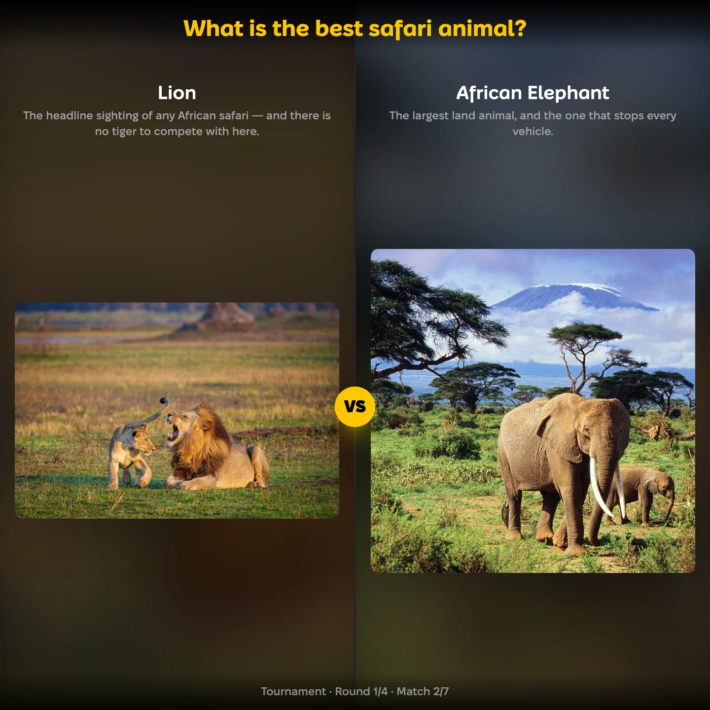 The best safari animal ranking, the lion against the African elephant, with no tiger on the list