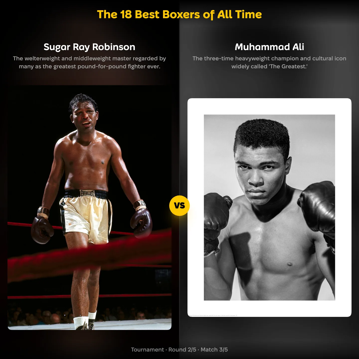 The 18 best boxers of all time, Sugar Ray Robinson against Muhammad Ali