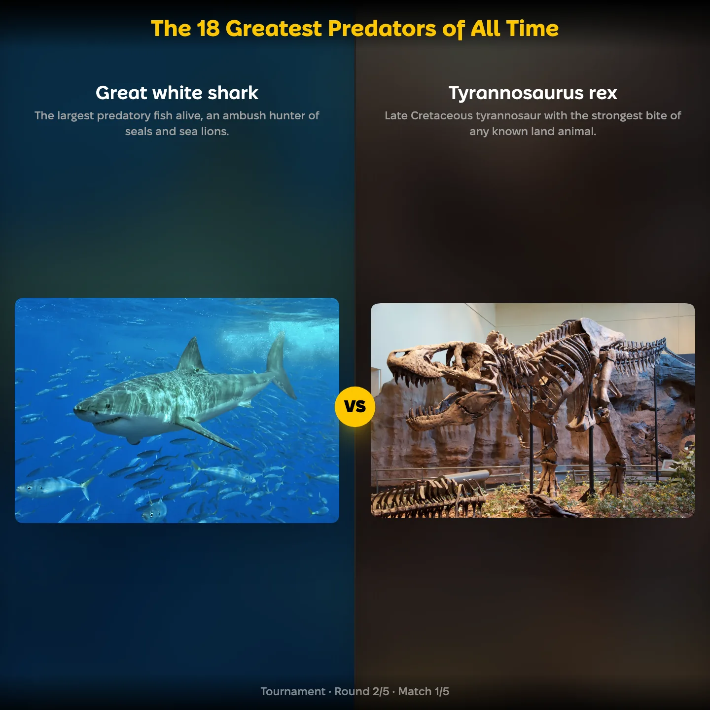 The 18 greatest predators of all time ranking: Great white shark vs Tyrannosaurus rex, with the orca also on the list