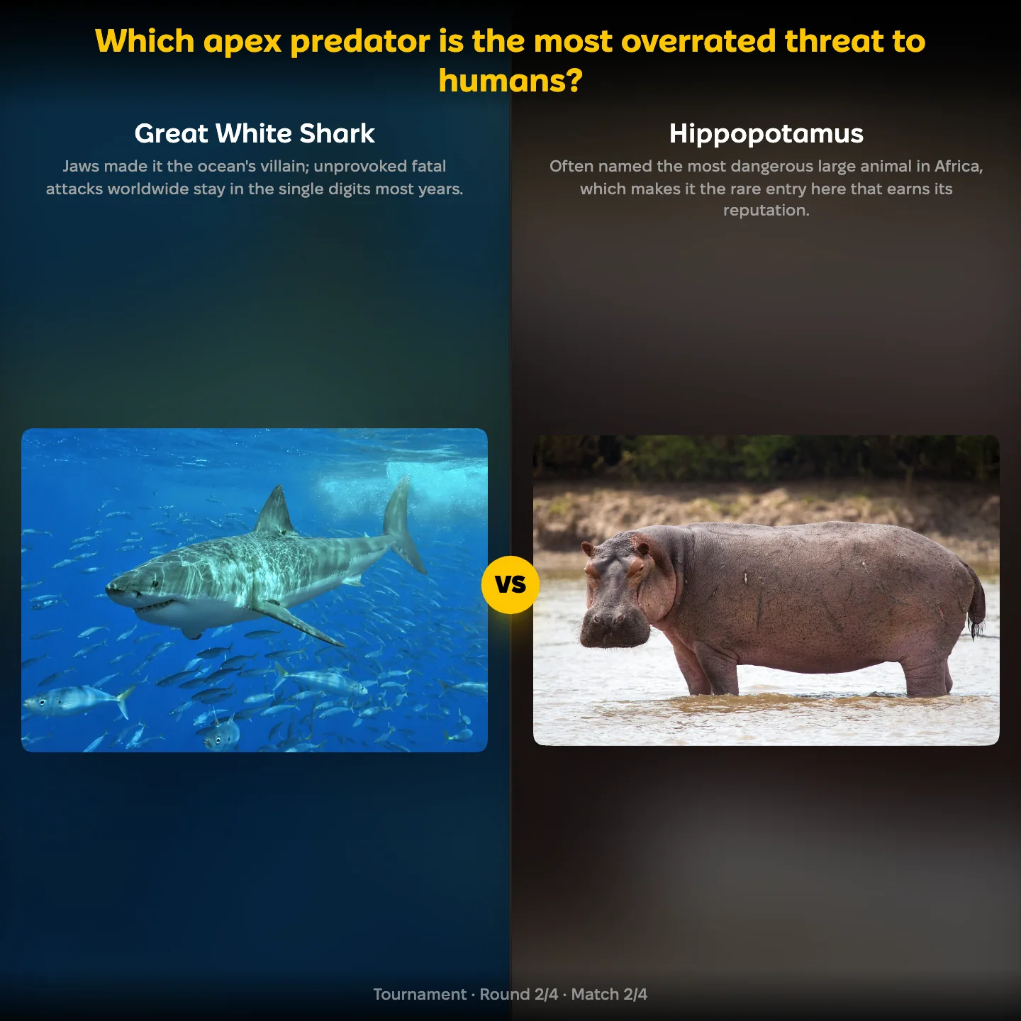 Which apex predator is the most overrated threat to humans ranking: Great White Shark vs Hippopotamus, with the orca also listed