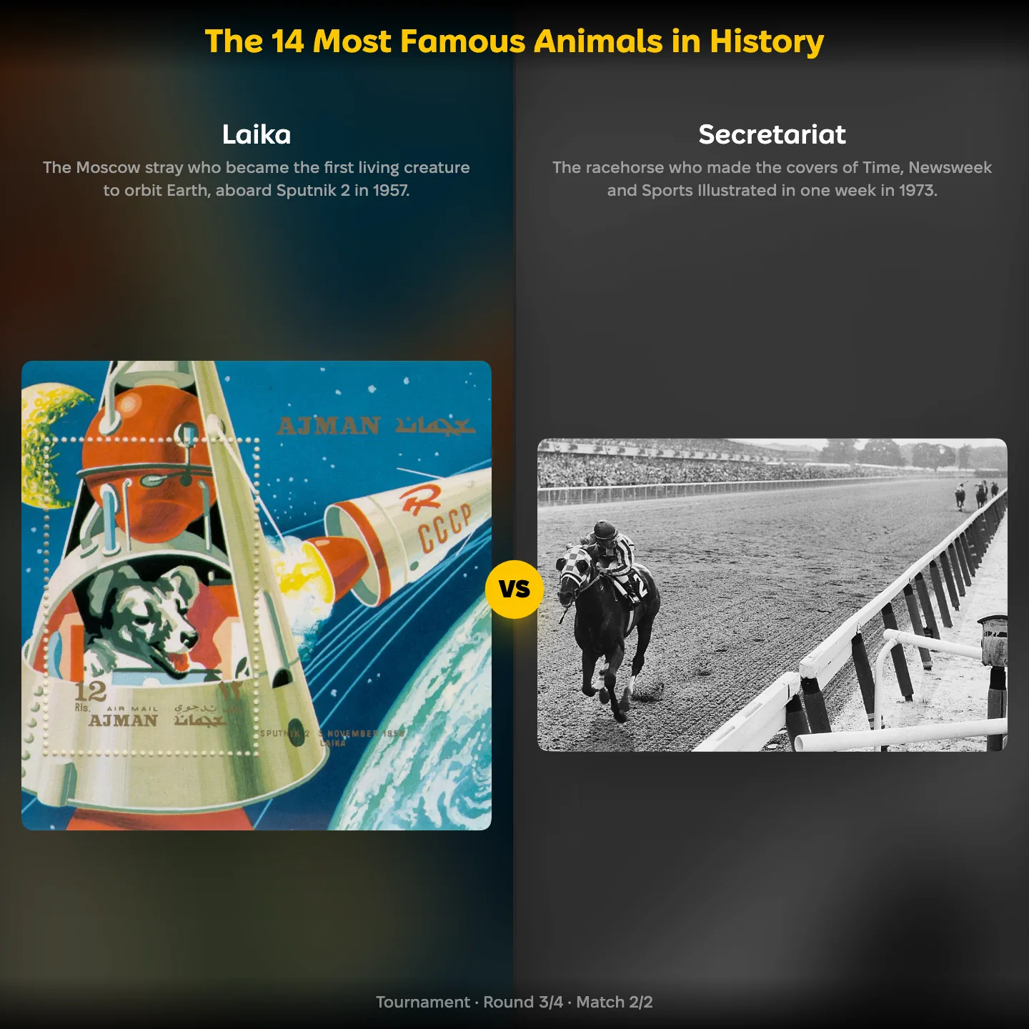 The most famous animals in history ranked, with Laika against Secretariat