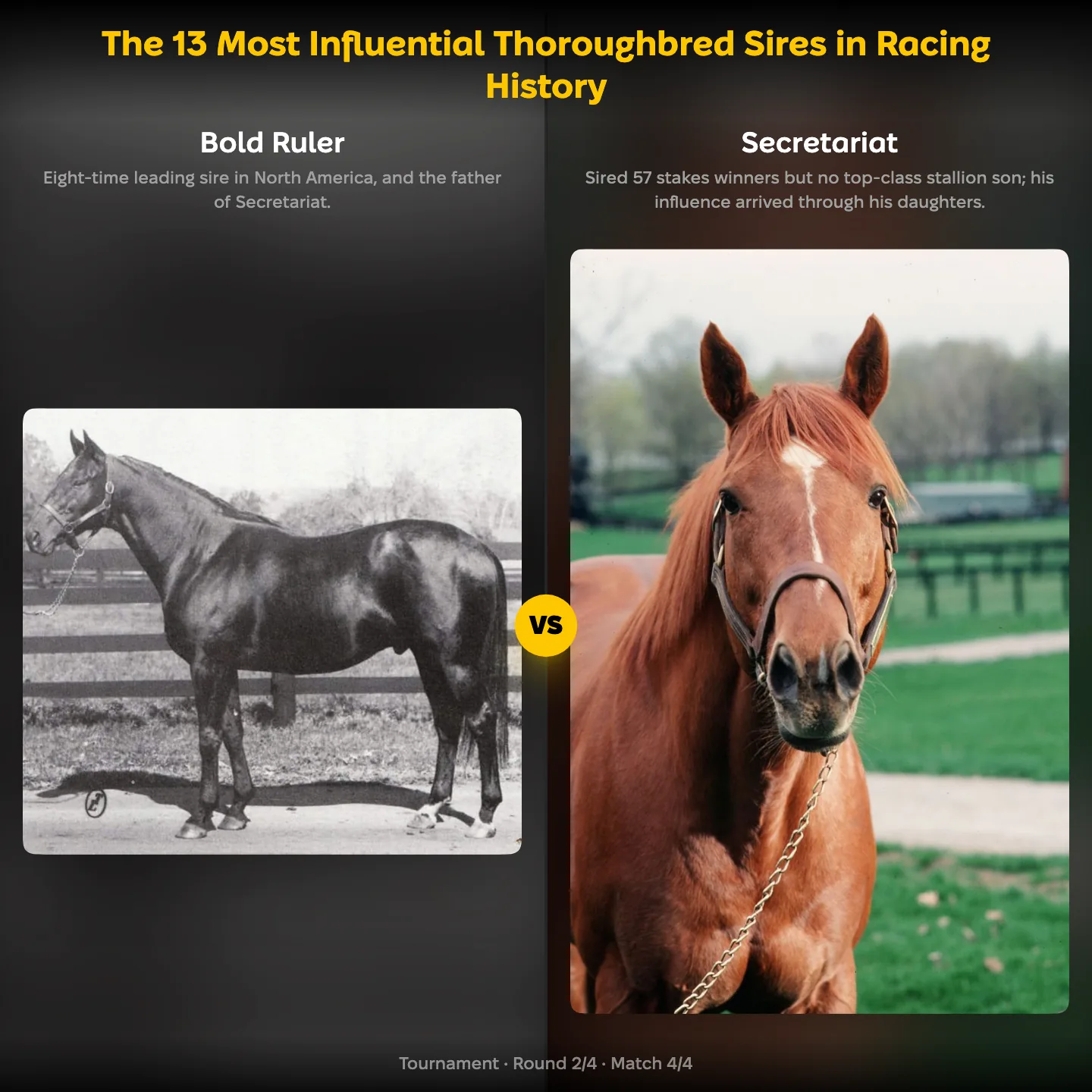 The most influential thoroughbred sires ranked, with Bold Ruler against his son Secretariat