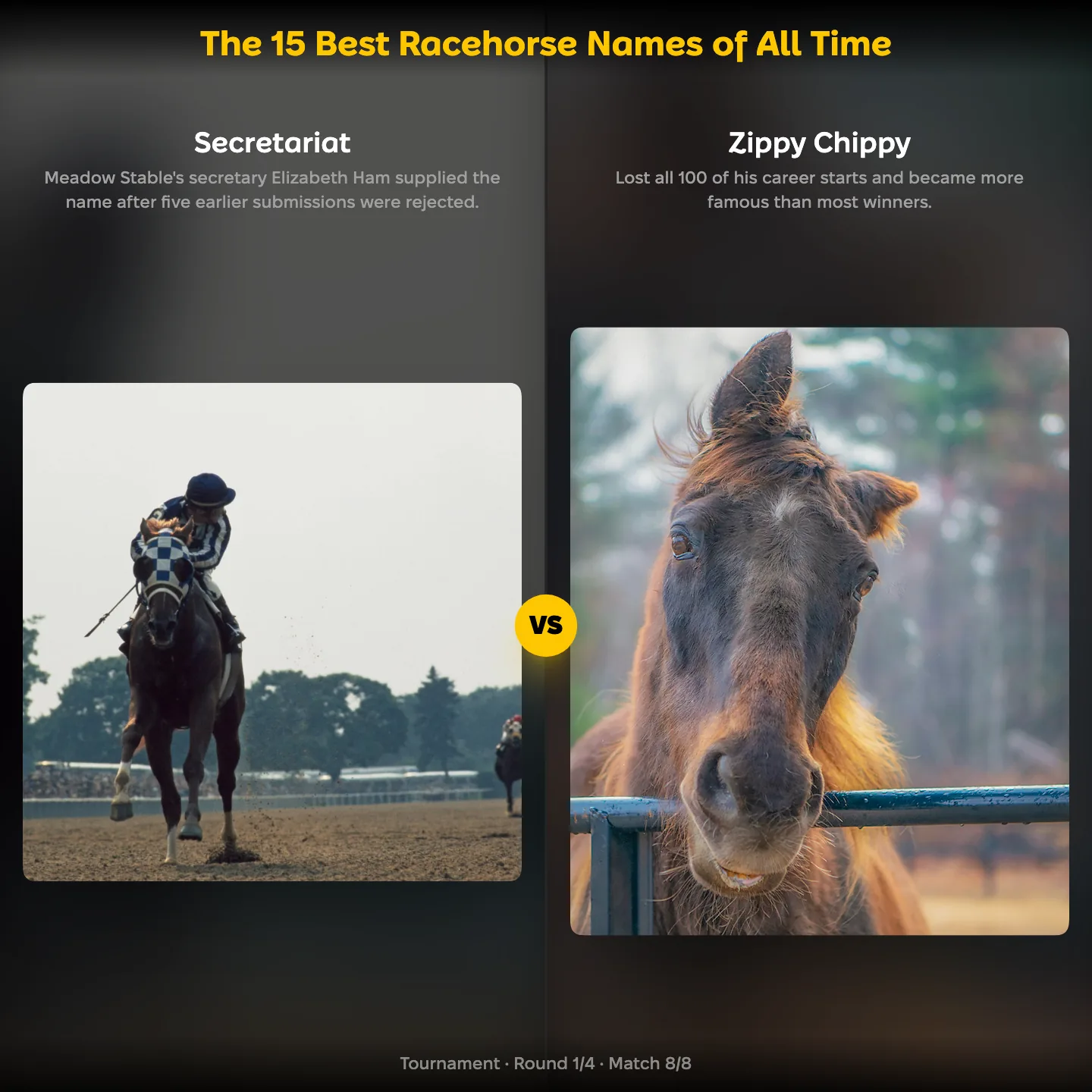 The best racehorse names of all time ranked, with Secretariat against Zippy Chippy