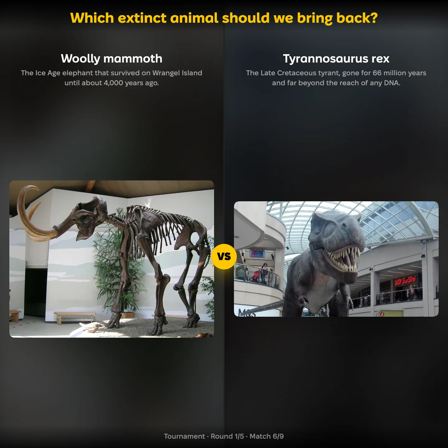 Which extinct animal should we bring back, ranked: woolly mammoth vs Tyrannosaurus rex