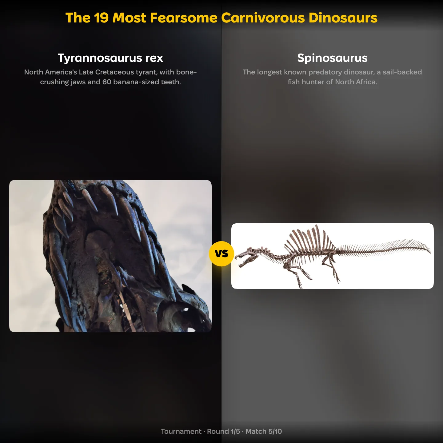 The most fearsome carnivorous dinosaurs ranked: Tyrannosaurus rex vs Spinosaurus