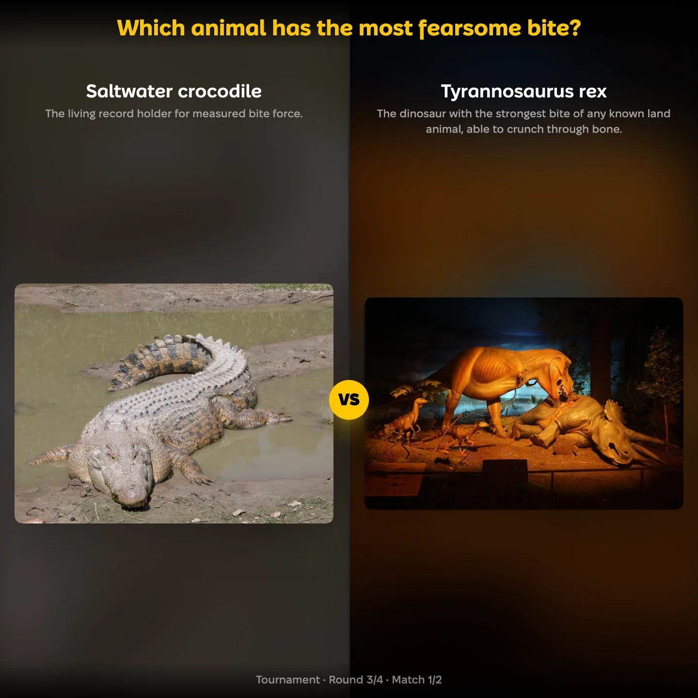The most fearsome animal bite ranked: saltwater crocodile vs Tyrannosaurus rex
