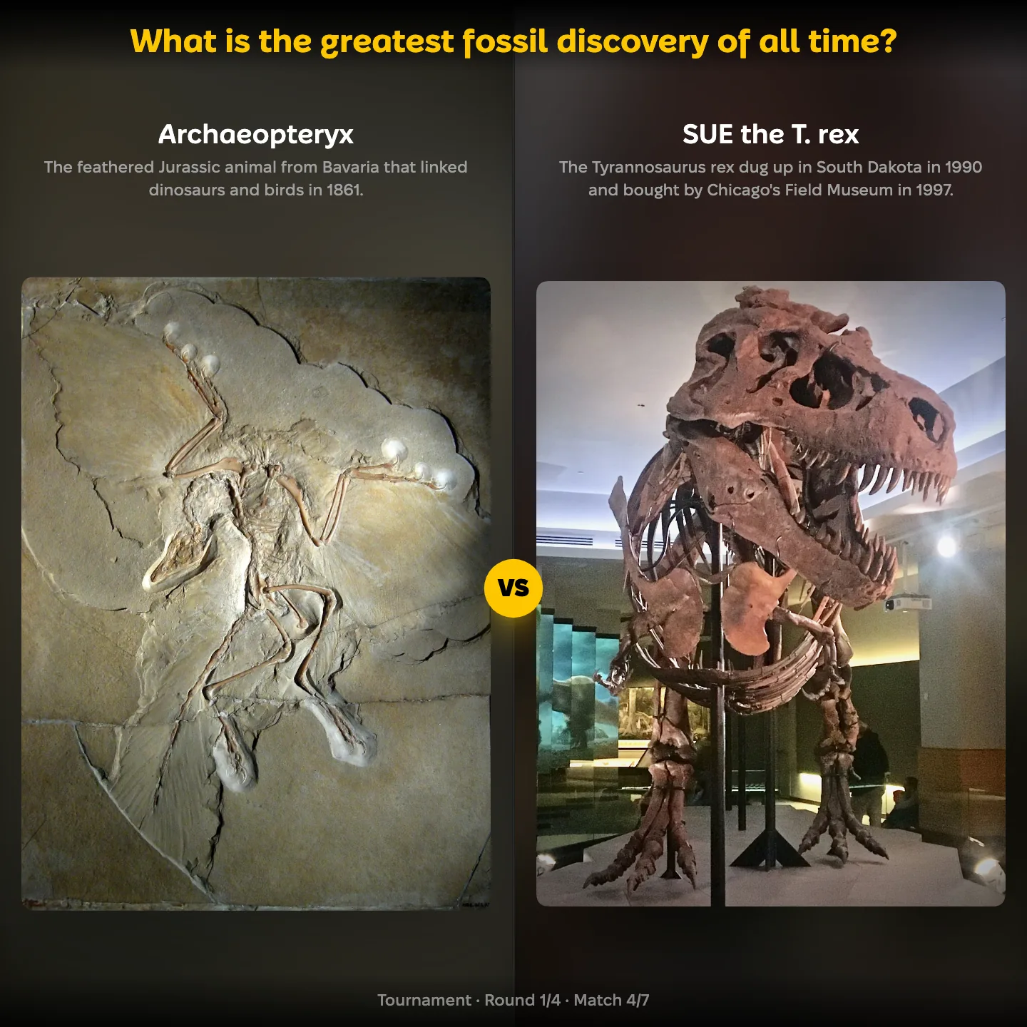 The greatest fossil discovery ranked: Archaeopteryx vs SUE the T. rex
