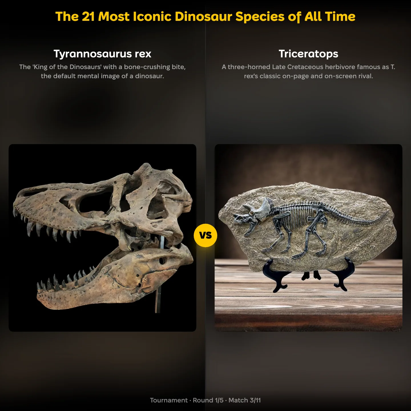 The most iconic dinosaur species ranked: Tyrannosaurus rex vs Triceratops