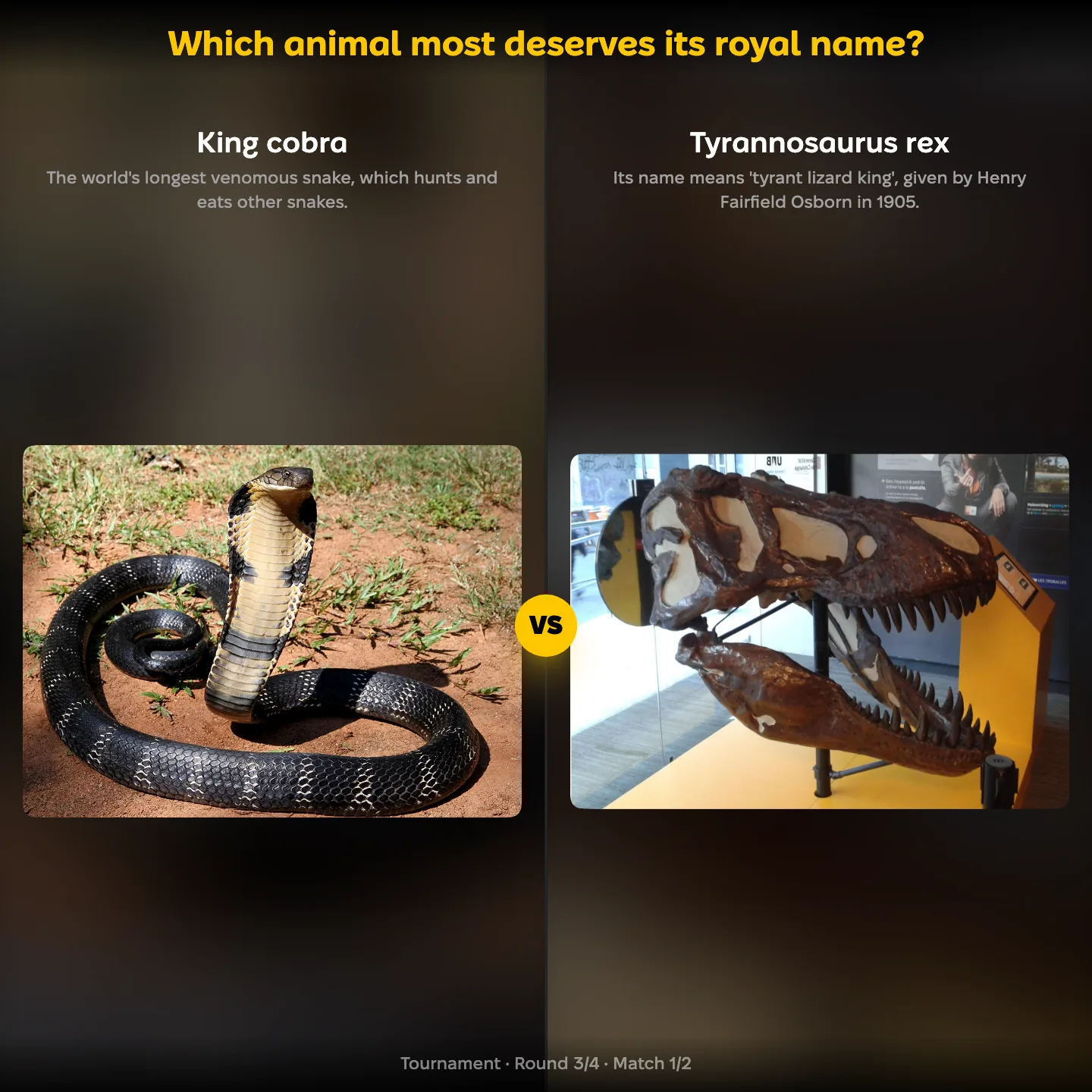 Which animal most deserves its royal name, ranked: king cobra vs Tyrannosaurus rex