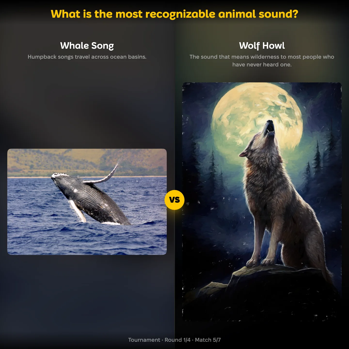 The most recognizable animal sound ranked, with Whale Song facing the Wolf Howl