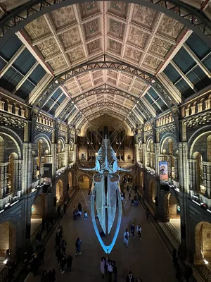 Science Museum — ranked #11