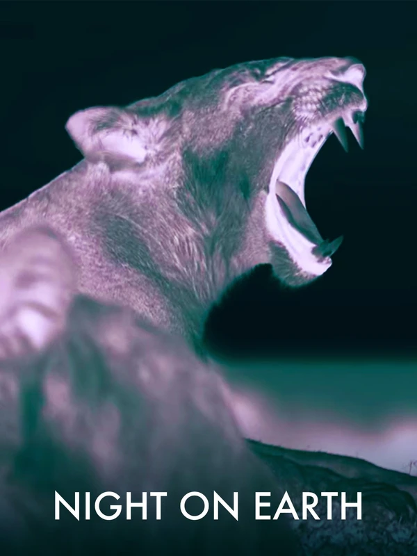 Night on Earth - ranking option ranked #7