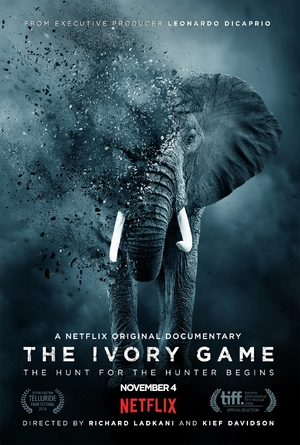 The Ivory Game — ranked #1