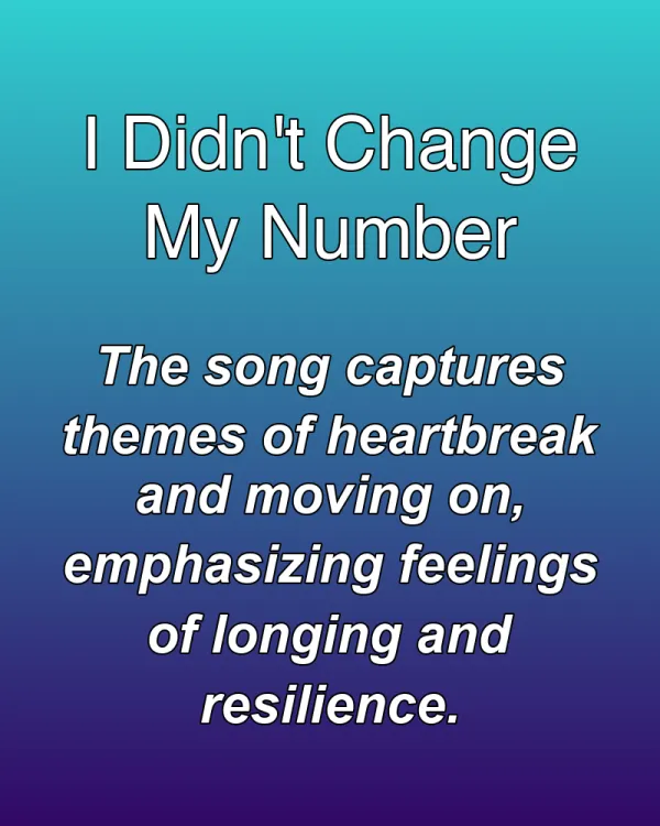 I Didn't Change My Number - ranking option ranked #14