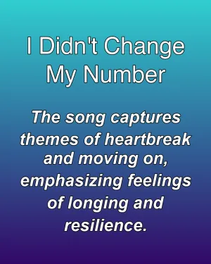 I Didn't Change My Number — ranked #14