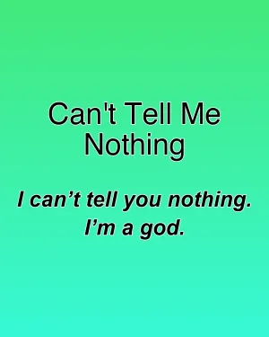 Can't Tell Me Nothing — ranked #13