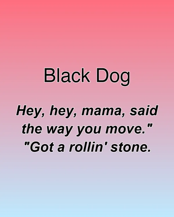 Black Dog - ranking option ranked #3