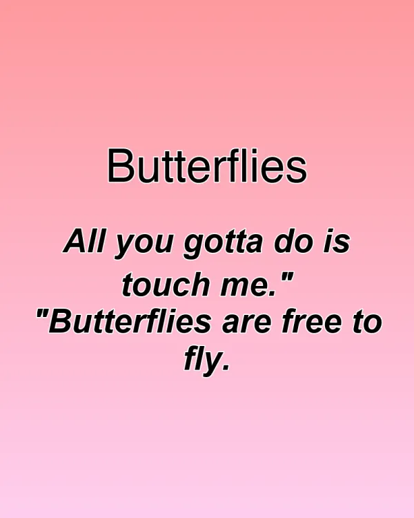 Butterflies - ranking option ranked #24