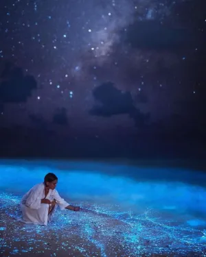 The Sea of Stars, Vaadhoo Island — ranked #5