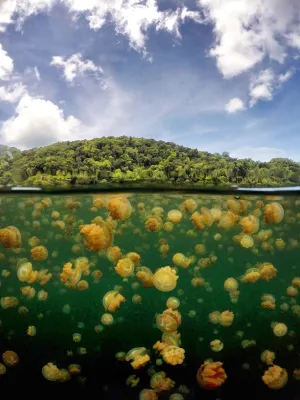 Jellyfish Lake, Palau — ranked #9