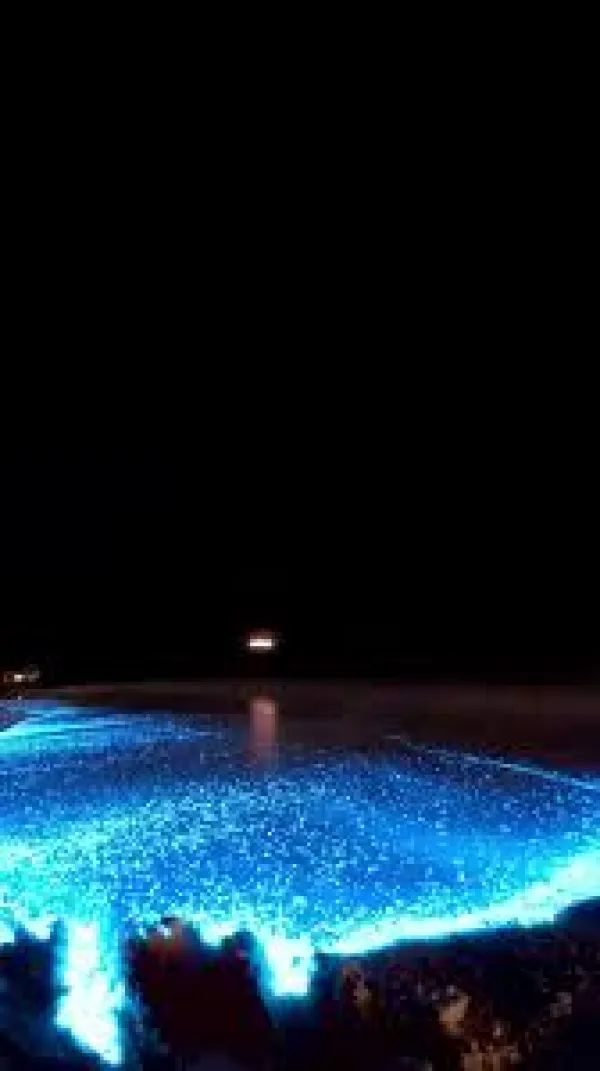 Sparkling Bay, Maldives - ranking option ranked #4