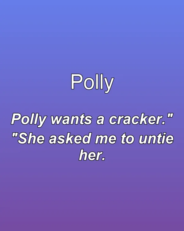 Polly - ranking option ranked #8
