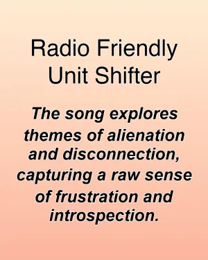 Radio Friendly Unit Shifter — ranked #22