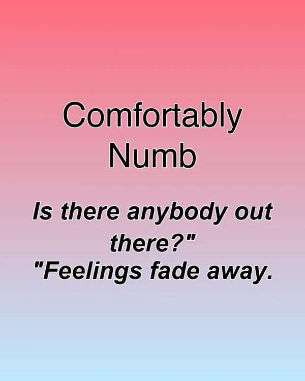 Comfortably Numb - ranking option ranked #2