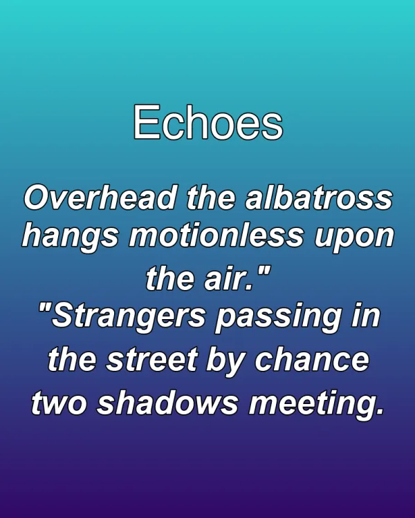 Echoes - ranking option ranked #32