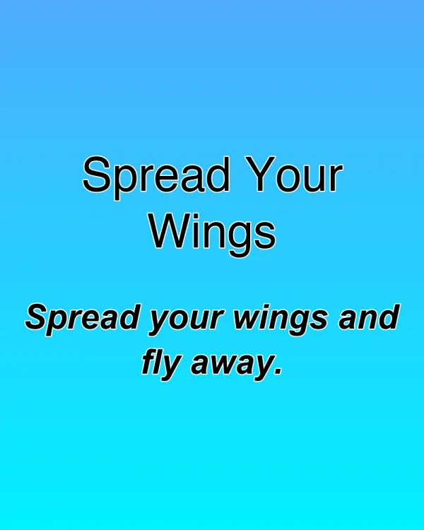 Spread Your Wings - ranking option ranked #24
