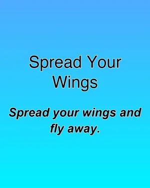 Spread Your Wings — ranked #24