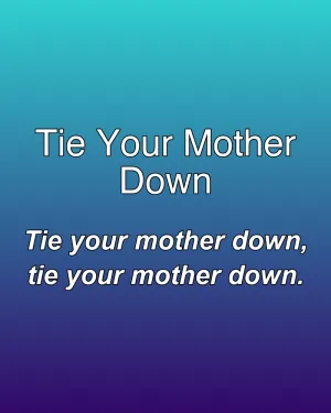 Tie Your Mother Down — ranked #22